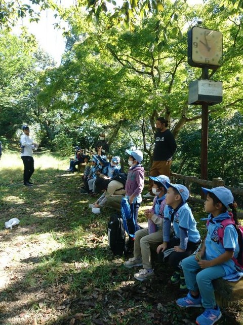 line_489534872243673