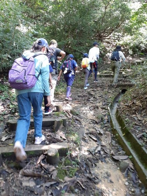 line_489913901203424_1