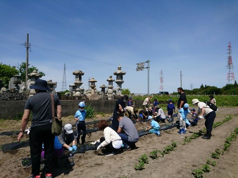 line_61377507998824