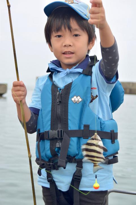 line_130326655692626