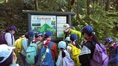 line_24205034691442