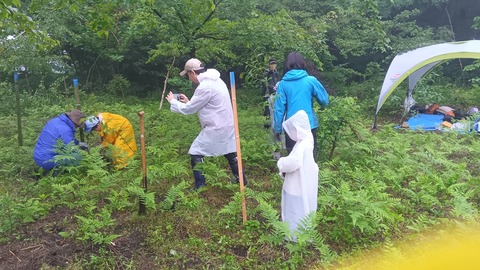 250601103306831