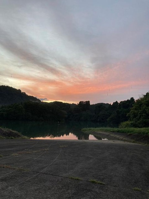 line_54315021713967