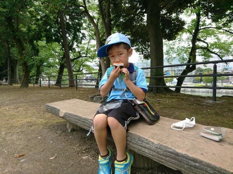 line_2950415851946