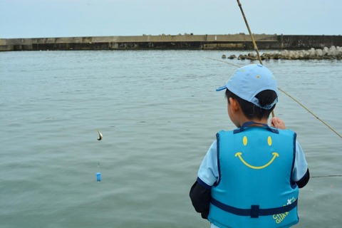 line_130270574489731