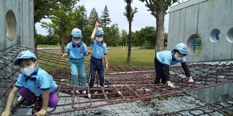 line_61392899417308