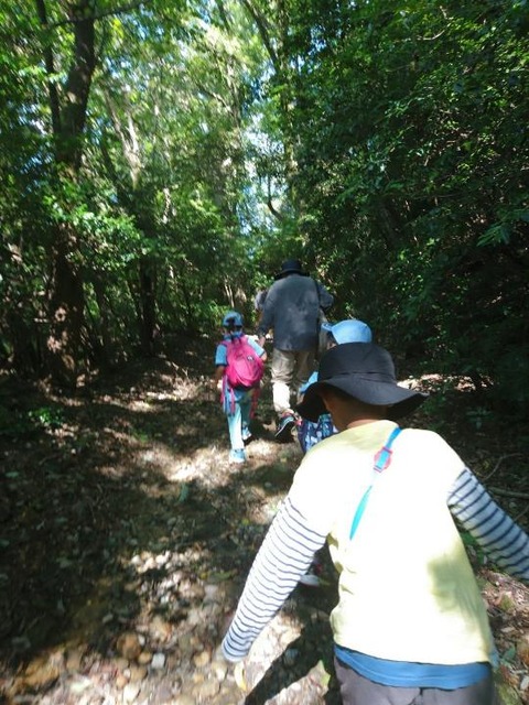 line_519811672685456