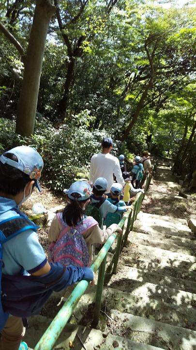 line_520023471698605