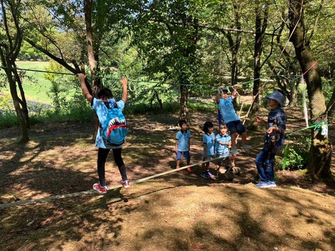 line_50197123292881_2