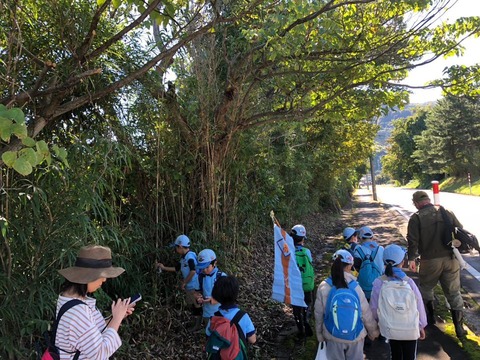 line_89926939476993_1