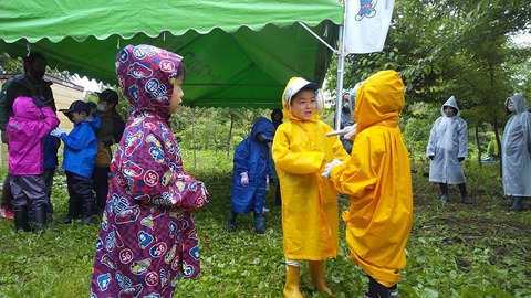 line_62812311971663