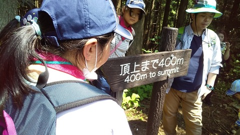 line_24206322390765