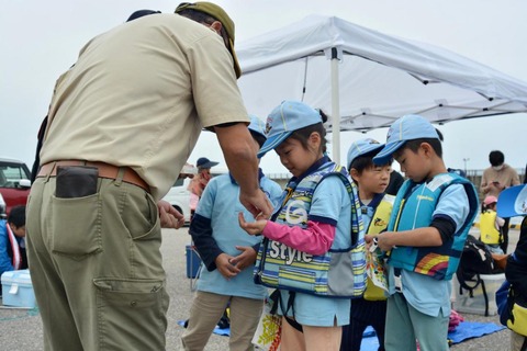 line_105540155319060_1