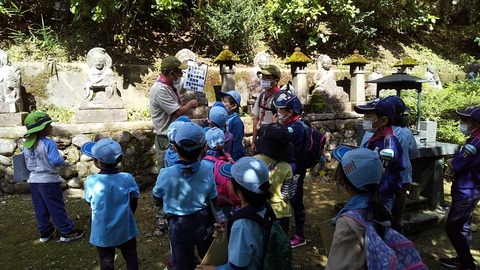 line_489545162578148