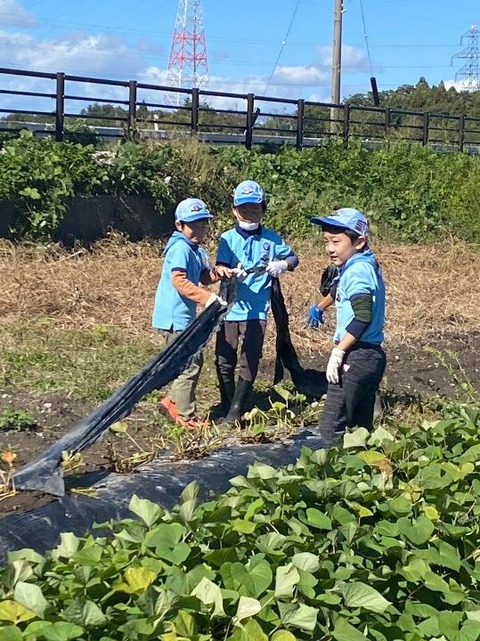 line_89928406763712_1