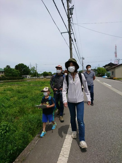 line_61379033835386