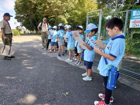 line_50203803020430_2