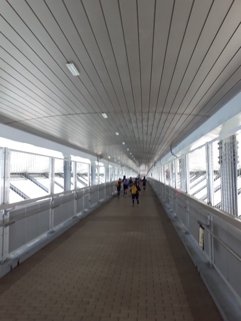 line_347373906095923