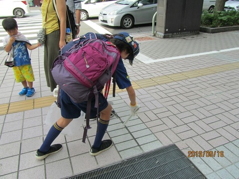 line_1082890832345189