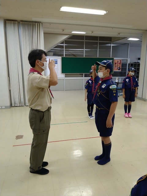 line_2117784915907543