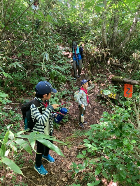 line_3034038106808385