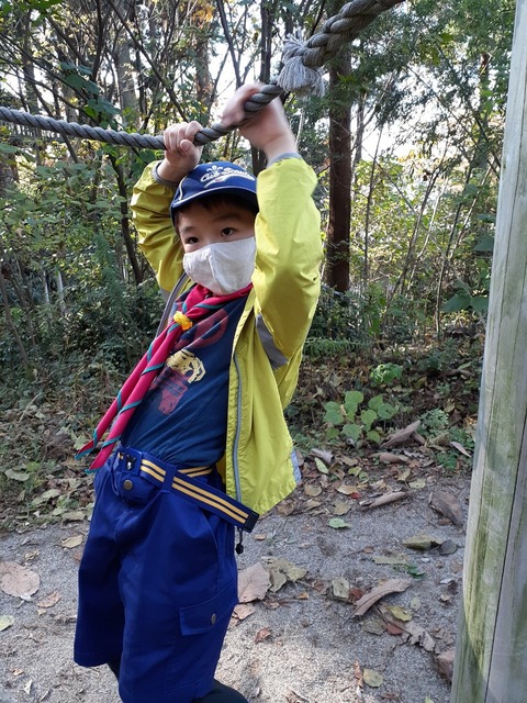line_10979258967373
