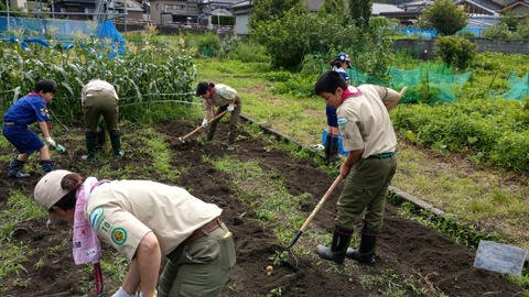 line_1658800756909507