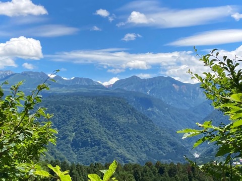 line_3034101021356434