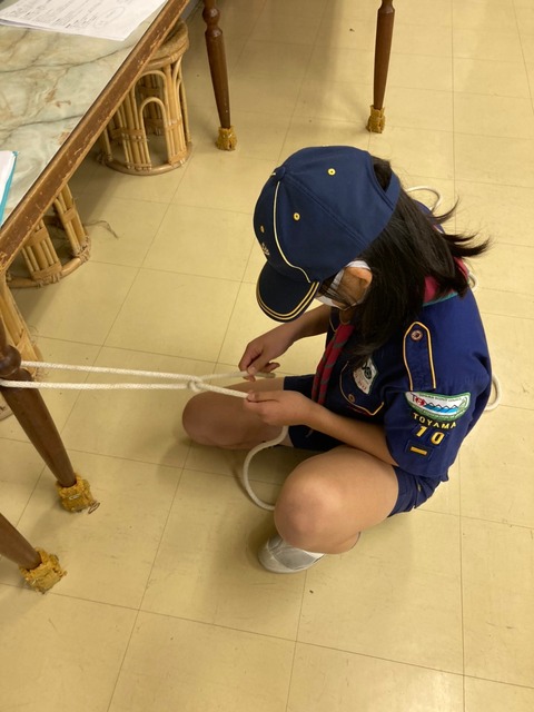 line_2117777108325827