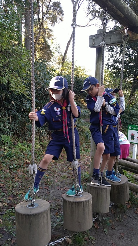 line_10953205541185