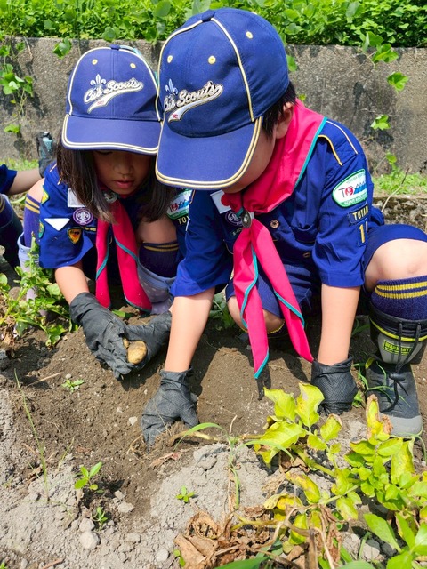 EWVA2022