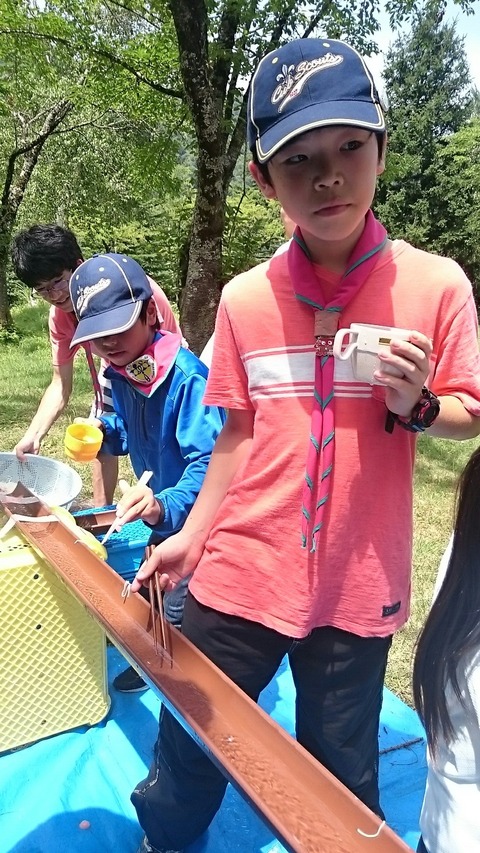 line_505168461886406