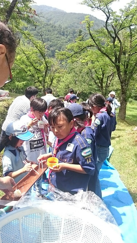 line_505165695174896