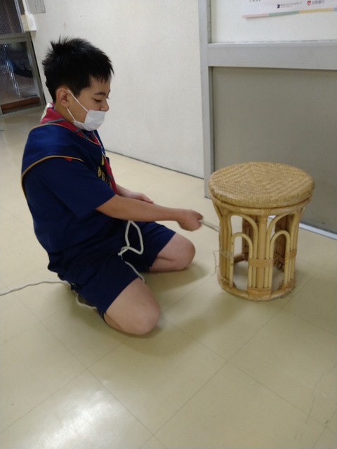 line_2117784581463376