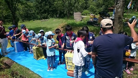 line_505161370232085