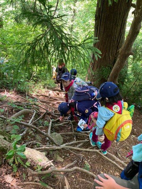 line_3034038885333645