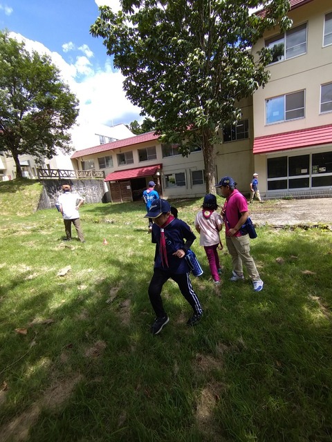 line_3034077182083891