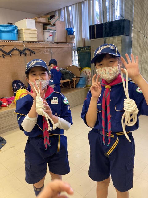 line_155452863767415