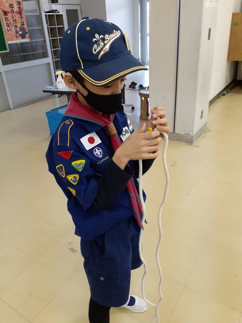 line_2117786252376136