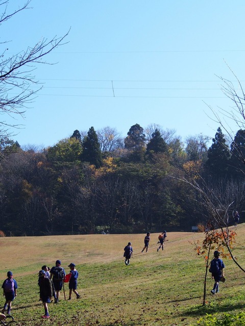 line_10938235978065