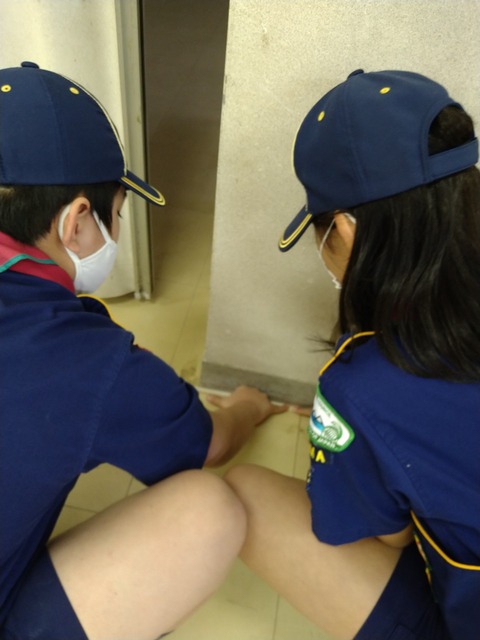 line_443881840445307