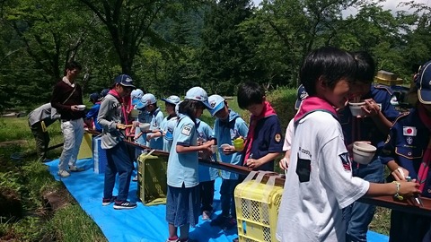 line_505164532163074