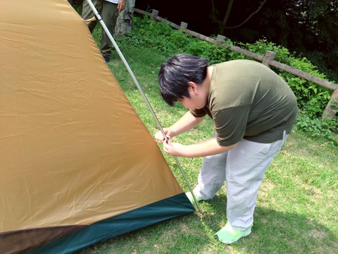 TLDF1199
