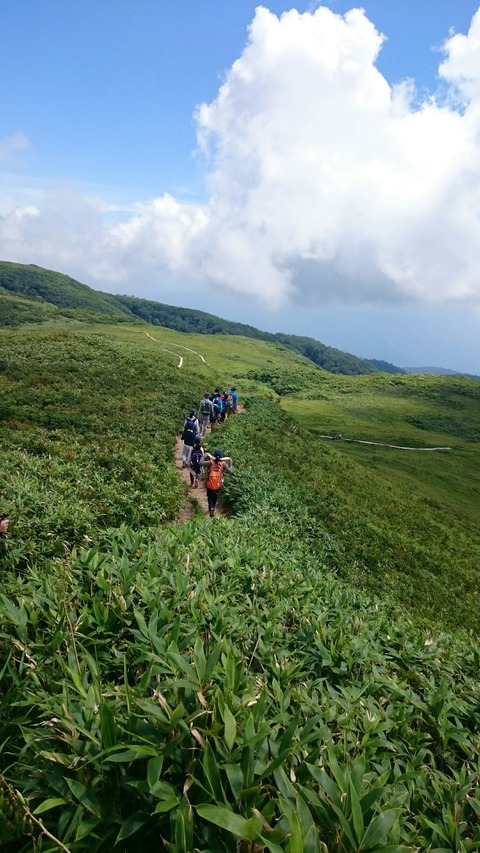 line_505130185591941