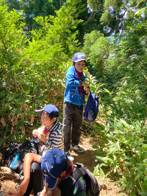 line_3034043301833643
