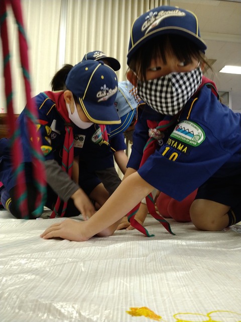 line_775190002523402