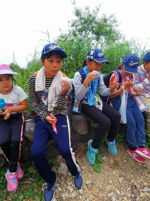 line_507806585087066