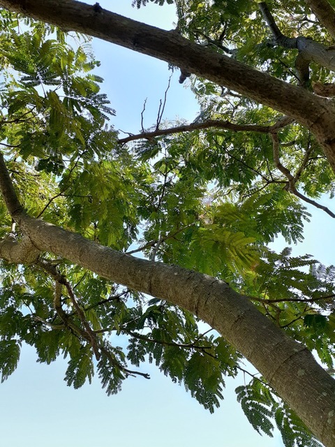 line_347381585373056