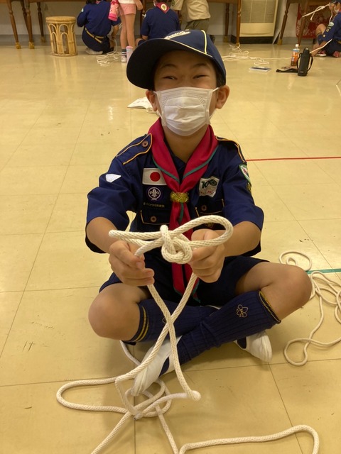 line_4306362438943342