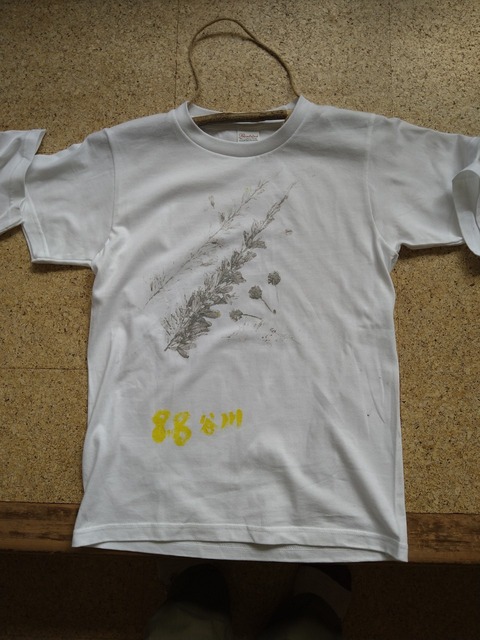 line_586430168684835